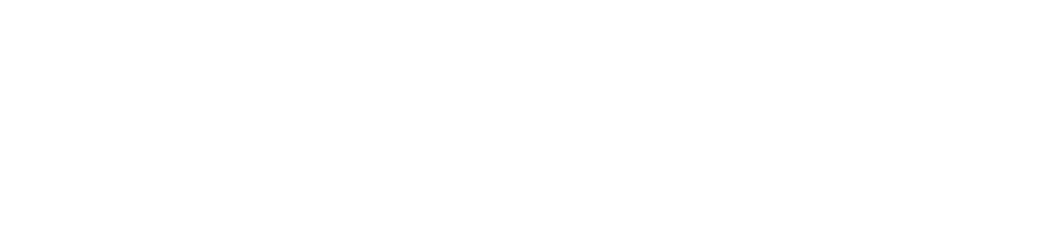 株式会社AccelaLink
